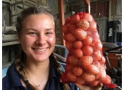 NEW SEASONS PICKLING ONIONS  5KG Bag Pukekohe Grown